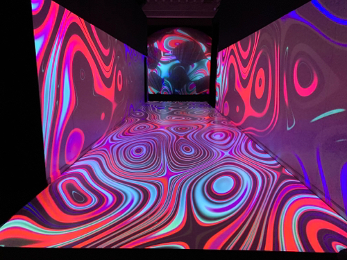 Geodesic Projection Domes Geodesic Projection Domes