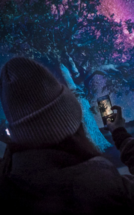 Sundance Film Festival 003