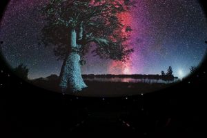 Omni_SIFF-X_5-1536x1026